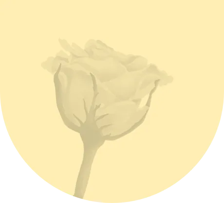 yellow rose graphic